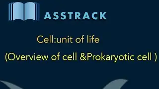 #cellbiology #cell -unit of life #part1 ,ch-8 #class11 ,Biology #overview of cell #prokaryoticcells