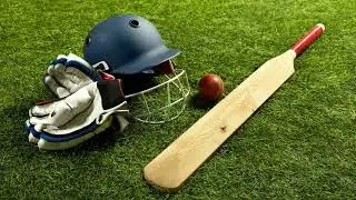 All Team Captain Ipl 2022
