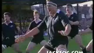 Classic All Blacks Haka