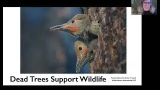 Dead Trees Support Wildlife: Brian French