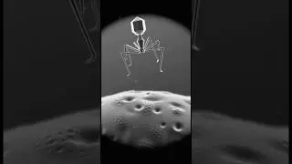 Alien robot broken.#ai  #memes  #sora  #funny  #aivideo  #yeet  #frenchie
