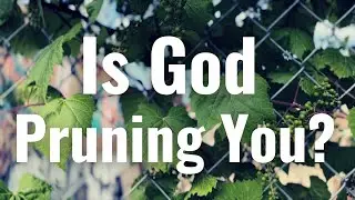 Why God Puts Us Through The 