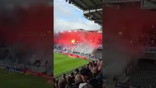Rosenborg vs Hammarby