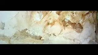 Professional Home Inspections in Miami FL - Florida Inspections Unlimited