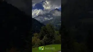 Switzerland 🇨🇭🏔️🌲#swiss #swissalps #travel #suisse #switzerland #mountains #schweiz #isvi&ccedil;re #alps