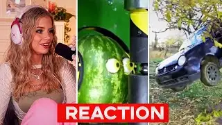 Berticuss React to UNUSUAL MEMES COMPILATION V248