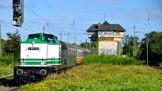 V100 003 mit Sonderzug durch Magdeburg- Buckau/ Erfurt 