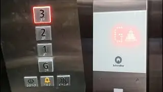 Кнопки сбоку | Тяговый лифт Schindler 3300AP MRL | Microtel, Вивиан-стрит, центральный деловой ра...