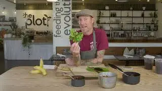 The Plot: Banana Peel Torta | Swell Plates Series 2026