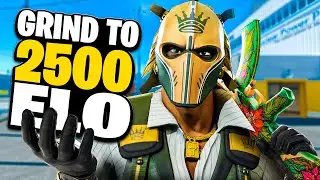 🚀FACEIT 10 2750 ELO 🚀 360hz !kick