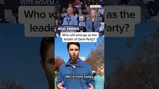 Who will emerge as the leader of the Democratic Party?