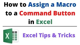 Assign Macro to Command Button, Shape and Text