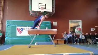 Stefan Bock | Seitpferd | Landesliga 2015