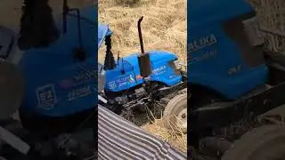 mustered harvesting by new thresher #harvest #harvesting #harvester #musterd #farming #agriculture