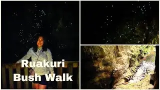 Glow worms up close: Ruakuri Bush Walk || Free things to do in Waitomo|| Waitomo Weekend