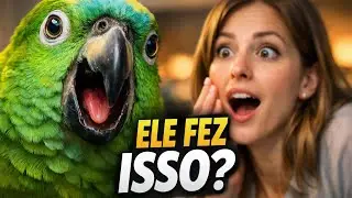 Esse papagaio não deveria fazer isso 😳