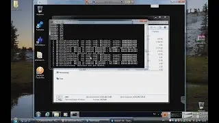 Настройка майнера для подключения к coinmine.pl