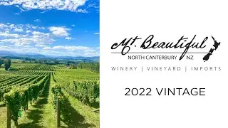 Mt. Beautiful: 2022 Vintage