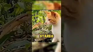 Я тут же уйду, если увижу эту сцену 🔥