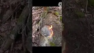 penemuan barang langka bersama mas jawa #news #amazing #motivation #entertainment #memes