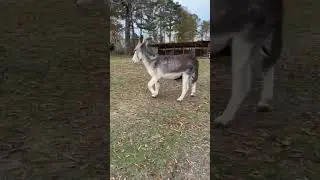 They're the best of friends 😅