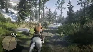 Red Dead Online - Micah and Dutch hiding on Mount Hagen