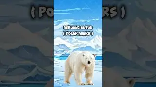 Polar Bear: The Arctic's Apex Predator 🐻&zwj;❄️ #animals #wildlife #education