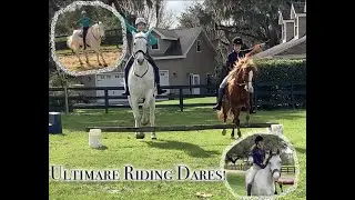 Riding dares! Riding an UNBROKE horse! Ridng TACKLESS!