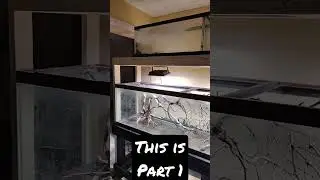 THIS IS PART 1 OF THE NEW FISH TANK RACK...