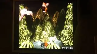 DKC SNES Boss Master Necky