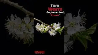 TOM WAITS - Presents, One from the heart