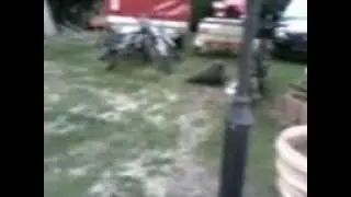 &Uuml;ber Hindernisse springen