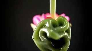 Green Slime Cube Morphing to Flower Loop 🟩🌸 (4K Macro) #Shorts