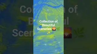 Collection of Beautiful Sceneries 🌄🌿✨ #BeautifulSceneries #NatureCollection #ScenicViews