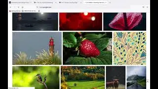 Watch me learn Web Dev. Test: Build a Product Landing Page Part 1