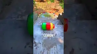 Удивительные факты, от которых захватывает дух! 😱