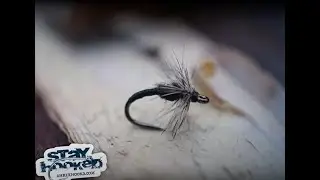 Hatching Midge by H&aring;kan Karsn&auml;ser