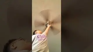 Ceiling Fans In Mirror Mode (Part 5)