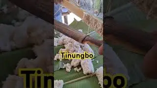 Rice cooked with native bamboo, tinungbo in Ilokano #holidayvibes #ilokanoak