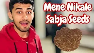 Gar Pr Bna Liye Sabja Seeds 😱😱 ll Tulsi Ke Beej #indianvlogger #vlog #familyvideo #funny #vloglife 