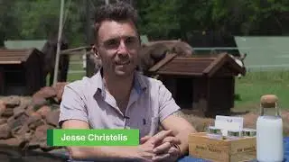 landbouSAKE | Donkey Dairy