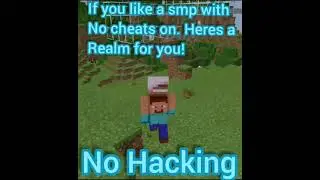 Minecraft SMP - Join Today No Hacking