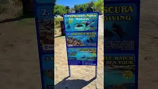 Coral bay beach, Coral Bay Paphos #cyprusshorts #cyprusbeaches #cyprusvacation