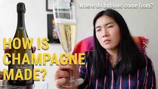 How is Champagne Made? What does Champagne taste like? | Champagne Basics Part 1