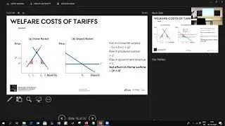 Import Tariffs in a Small Economy