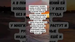 #вирусныевидео #шуточное #смехпродлеваетжизнь