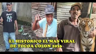 videos   originales