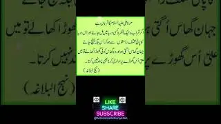 quotes Achi Batain | Advise | haqeeqat #matlabilog #viral #quotes #fyplease #achibatein #haqeeqat