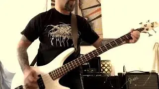Ramones - Pet Sematary (bass cover)