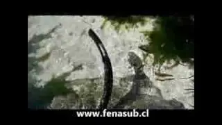 Snorkel fe&ntilde;asub